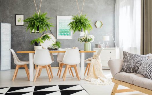 Beautiful Condo in Central Delhi